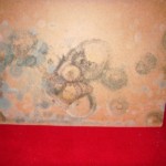 Pilzbefall an Möbeln - Bild 1