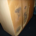 Pilzbefall an Möbeln - Bild 3