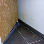 Pilzbefall an Möbeln - Bild 5