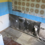 Putz stark bewachsen - Bild 1