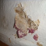 Putz stark bewachsen - Bild 3