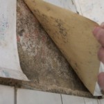 Putz stark bewachsen - Bild 4