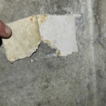 Putz wenig bewachsen - Bild 3