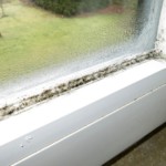 Pilzbefall an Fugen und Dichtungen - Bild 1