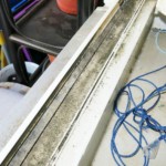 Pilzbefall an Fugen und Dichtungen - Bild 3