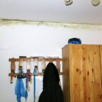 Pilzbefall groß bunt - Bild 2