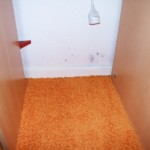 Pilzbefall kleinflächig bunt - Bild 5