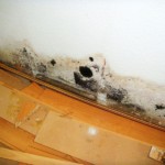 Wasserschaden - Bild 1