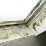 Wasserschaden - Bild 3