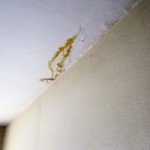 Wasserschaden - Bild 4